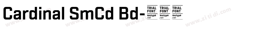 Cardinal SmCd Bd字体转换